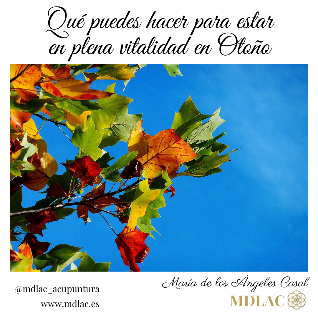 www.mdlac.es otoño 2021