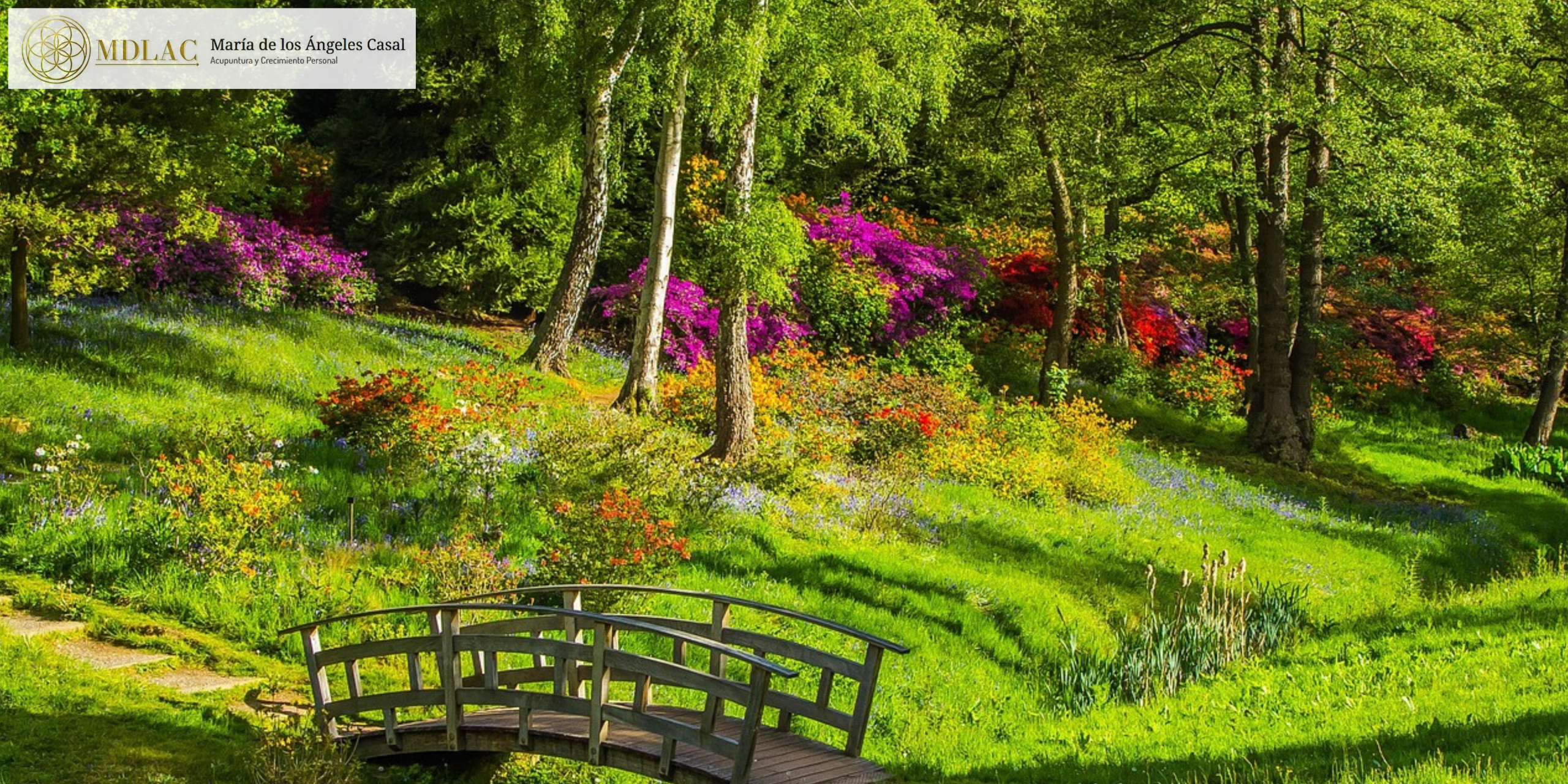 Cuando el cuerpo habla bajito y el alma está cansada
