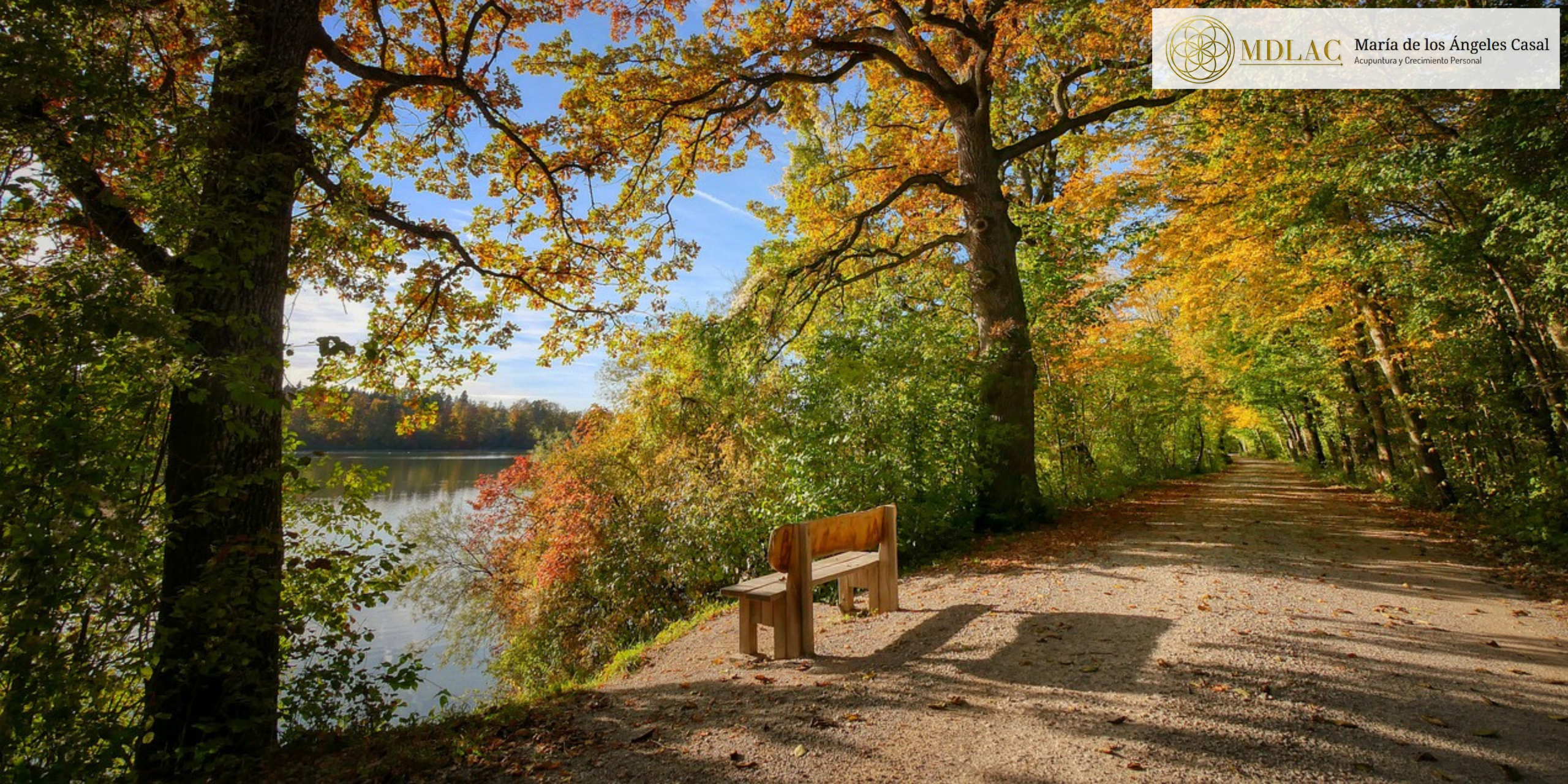 Cuando el cuerpo habla bajito y el alma está cansada