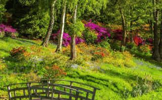 Tus Células Escuchan lo que Piensas: Cómo Transformar tu Biología con tu Mente